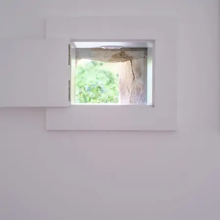 Haus In Soeiro Do Chao Mit Privatem Parkplatz By Interhome Fornos de Algodres