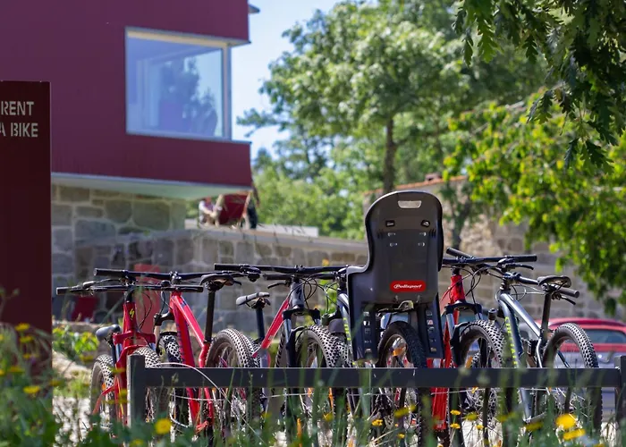 Semesterbostad Haus In Soeiro Do Chao Mit Privatem Parkplatz By Interhome Fornos de Algodres
